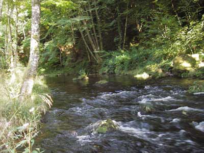Toujours a treignac, apres le pont