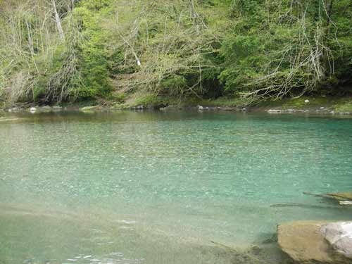 Une piscine naturelle sur le nokill!!Les saumons et truites fraient a gauche sur la graviere.