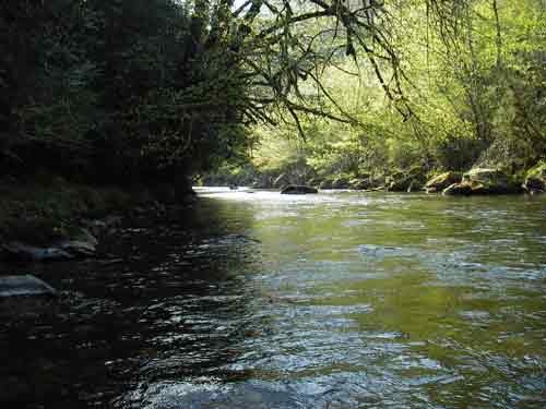 Plus petit que l'aspe: le lourdios. La roche sans doute, teinte legerement ses eaux en jaune.